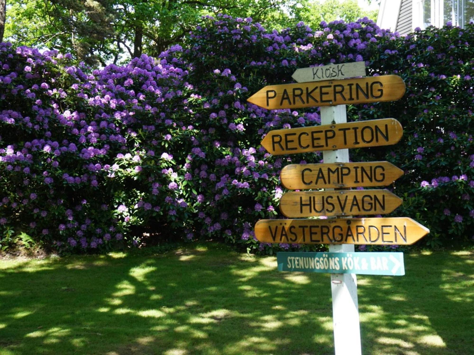 Stenungsoens Resort סטנונגסונד מראה חיצוני תמונה